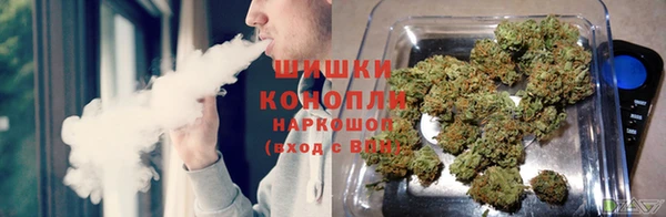 прущий лед Гусев