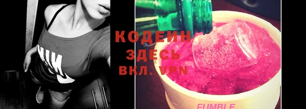 прущий лед Гусев