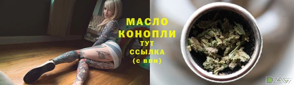 прущий лед Гусев