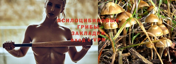 наркотики Гусиноозёрск