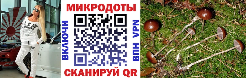 Галлюциногенные грибы GOLDEN TEACHER  Купить где  Устюжна 